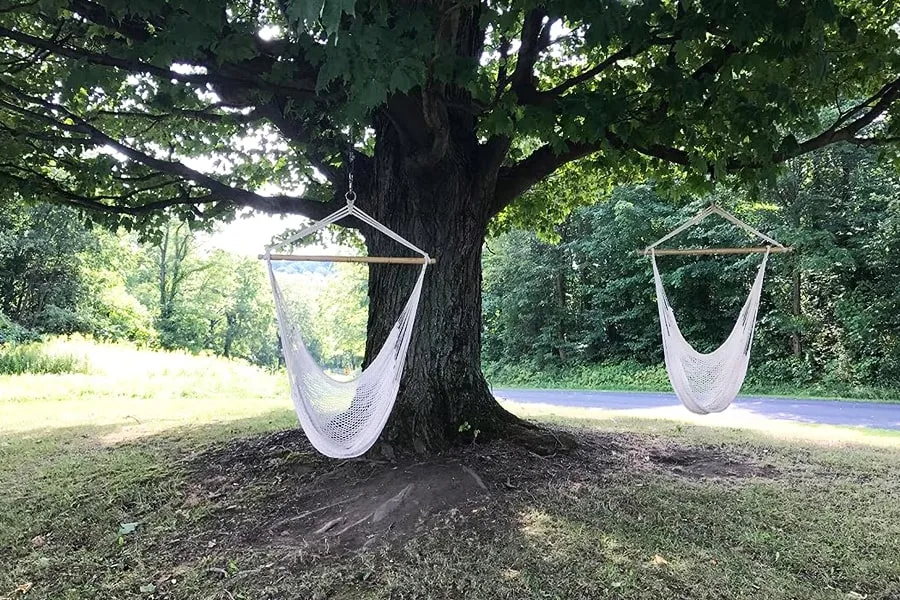 Hammock Chairs under the tree jpg