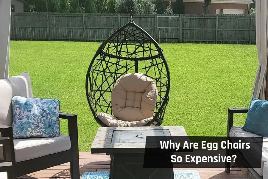 Why Are Egg Chairs So Expensive